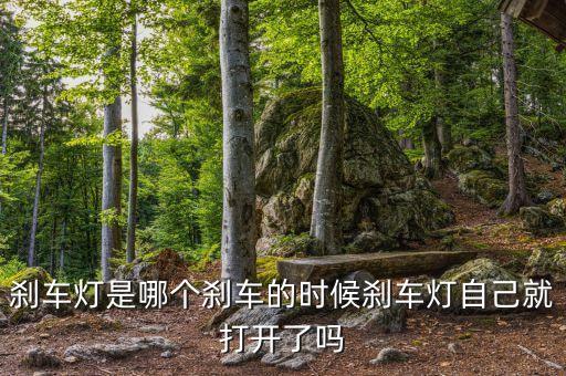 f0后刹车灯在哪个位置图，比亚迪f0倒车灯开关在哪里求图片