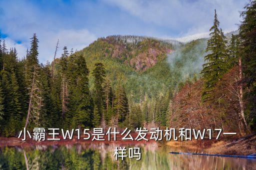 小霸王W15是什么发动机和W17一样吗
