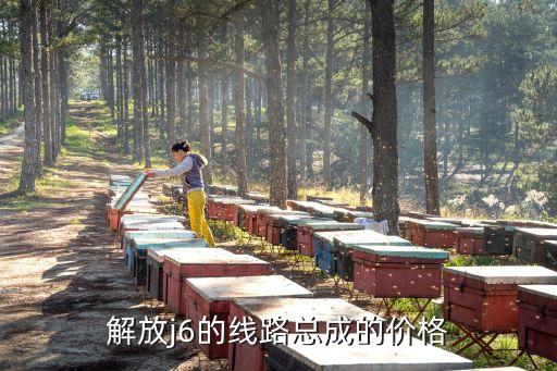 解放j6的线路总成的价格