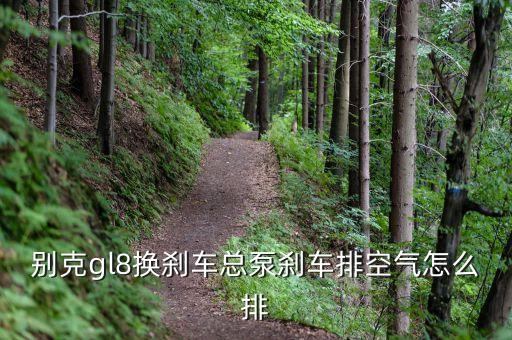 别克gl8换刹车总泵刹车排空气怎么排