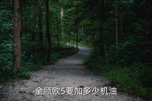 全顺欧5要加多少机油