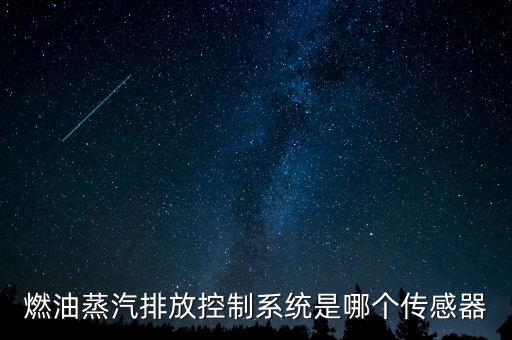 燃油蒸汽排放控制系统是哪个传感器