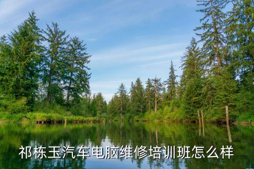 祁栋玉汽车电脑维修培训班怎么样