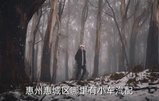惠州惠城区哪里有小车汽配