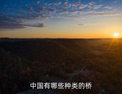 中国有哪些种类的桥