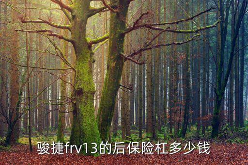 骏捷frv13的后保险杠多少钱