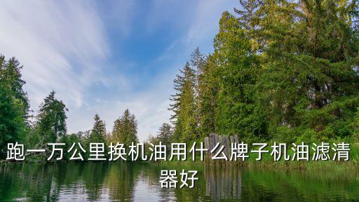 跑一万公里换机油用什么牌子机油滤清器好