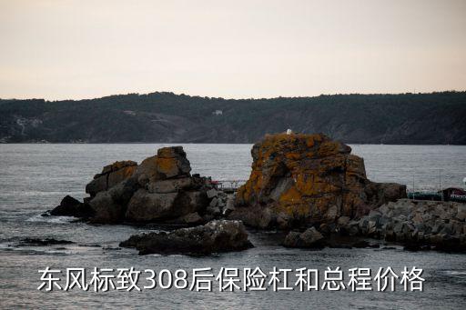 东风标致308后保险杠和总程价格