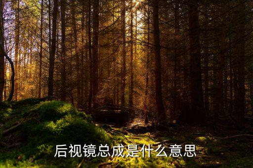 后视镜总成是什么意思