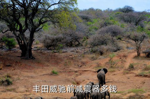 威驰减震器多少钱，丰田威驰前减震器多钱
