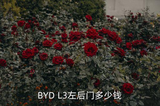 BYD L3左后门多少钱