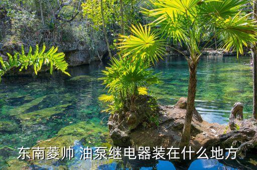 东南菱帅 油泵继电器装在什么地方