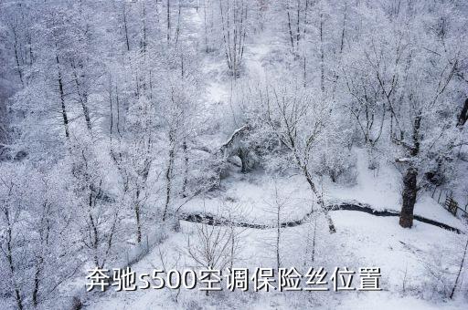 老奔驰e240空调保险丝在什么位置，奔驰e240空调继电器在什么地方