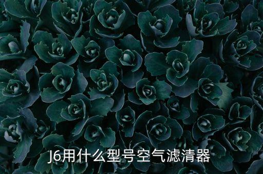 解放新j6用的哪个型号的空气滤清器，J6用什么型号空气滤清器