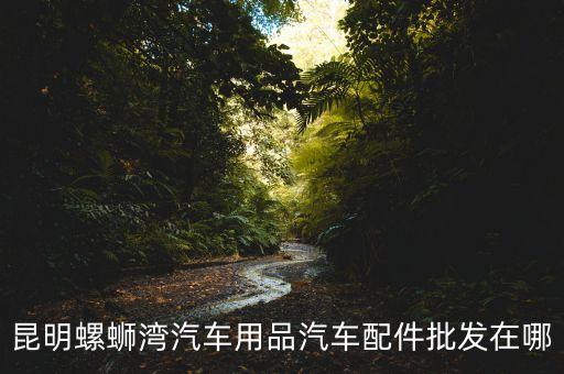 昆明螺蛳湾汽车用品汽车配件批发在哪