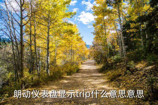 朗动仪表盘显示trip什么意思意思
