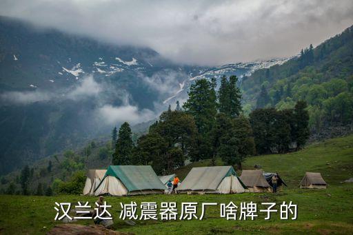 汉兰达 减震器原厂啥牌子的