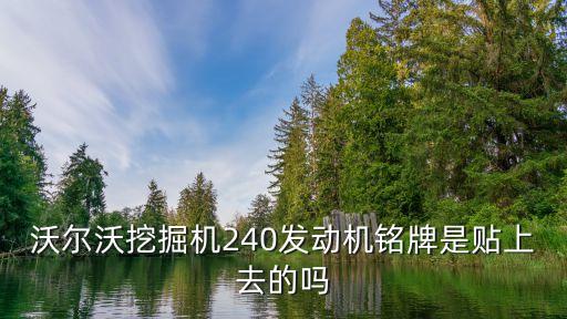 沃尔沃挖掘机240发动机铭牌是贴上去的吗