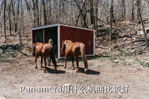 Panamera用什么机油比较好