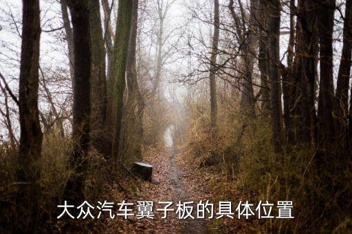 大众汽车翼子板的具体位置