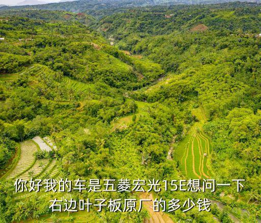 五菱汽车叶子板什么品牌好，你好我的车是五菱宏光15E想问一下右边叶子板原厂的多少钱