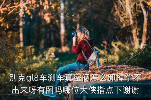 别克gl8车刹车真空阀怎么卸掉拿不出来呀有图吗哪位大侠指点下谢谢