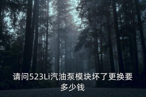 请问523Li汽油泵模块坏了更换要多少钱