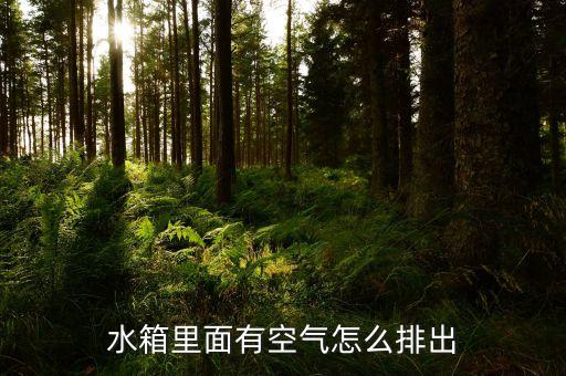 水箱里面有空气怎么排出
