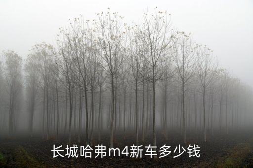 长城m4新车多少钱，长城m4共要多少钱