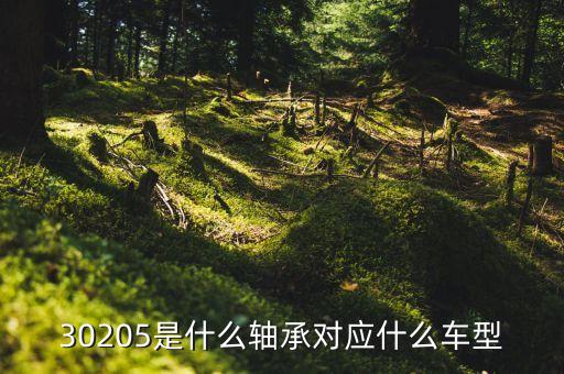 30205是什么轴承对应什么车型