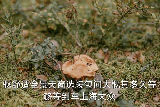 驱舒适全景天窗选装包问大概其多久等够等到车上海大众