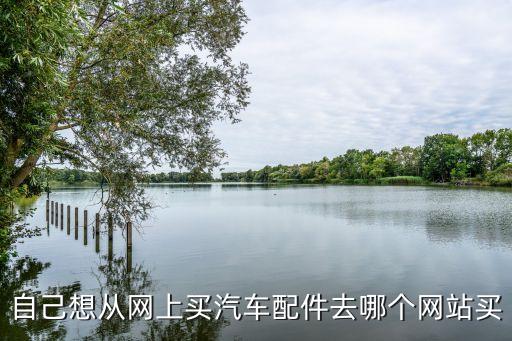 自己想从网上买汽车配件去哪个网站买