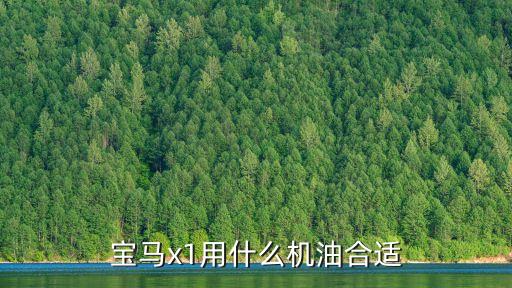 宝马x1用什么机油好，宝马x1用什么机油合适