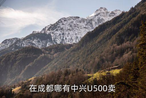 在成都哪有中兴U500卖