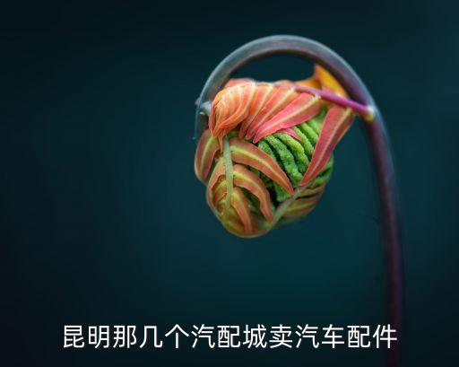 昆明那几个汽配城卖汽车配件