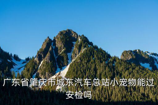 广东省肇庆市城东汽车总站小宠物能过安检吗