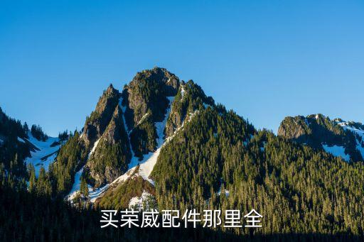买荣威配件那里全
