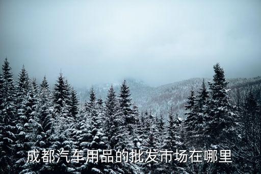 成都汽车用品的批发市场在哪里