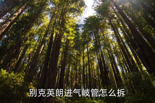 别克英朗进气岐管怎么拆