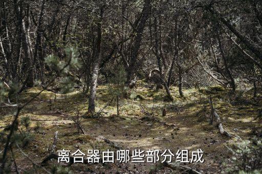 离合器由哪些部分组成