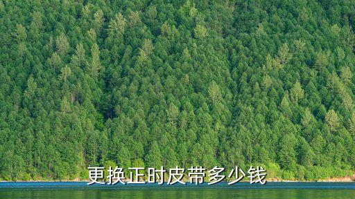 更换正时皮带多少钱