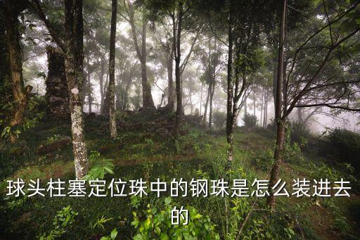 雅阁下球头是怎么装进去的，广州本田雅阁下臂球头怎样装
