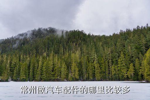 常州做汽车配件的哪里比较多