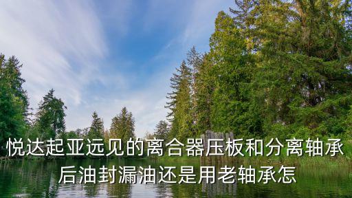 悦达起亚远见的离合器压板和分离轴承 后油封漏油还是用老轴承怎
