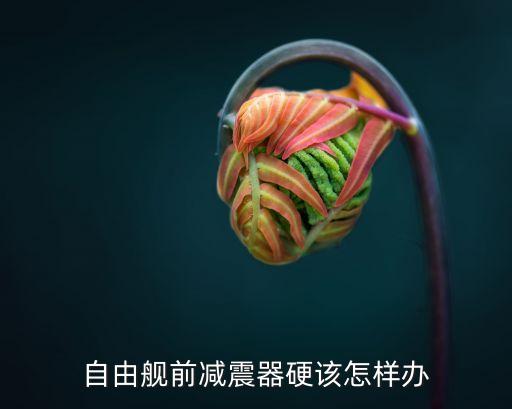 自由舰前减震器硬该怎样办