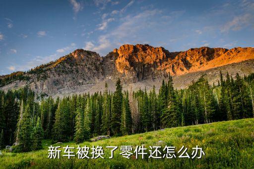 销售更换零部件小汽车怎么办，汽车维修店跟换后的零件怎么处理的
