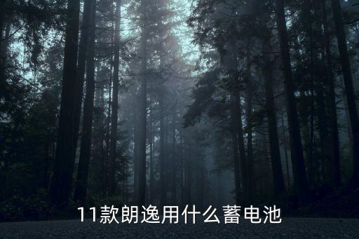 11款朗逸用什么蓄电池