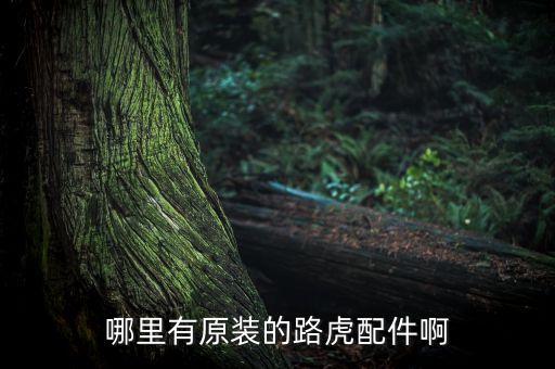 哪里有原装的路虎配件啊