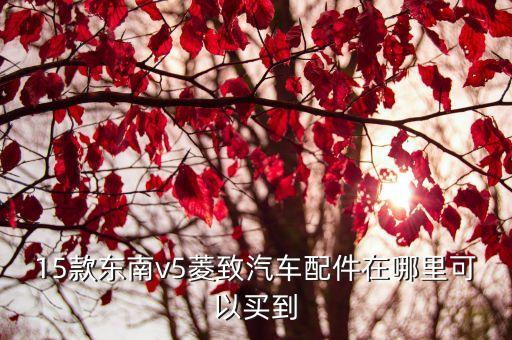15款东南v5菱致汽车配件在哪里可以买到