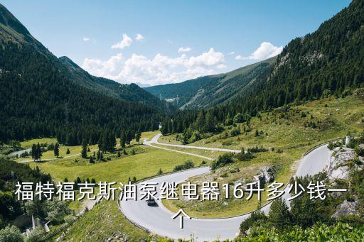 福克斯油泵多少钱，福特福克斯油泵继电器16升多少钱一个